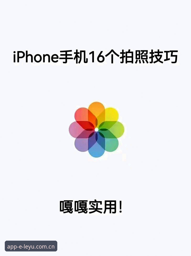 乐鱼app下载链接 掌握乐鱼体育平台高效登录的实用技巧与必备知识